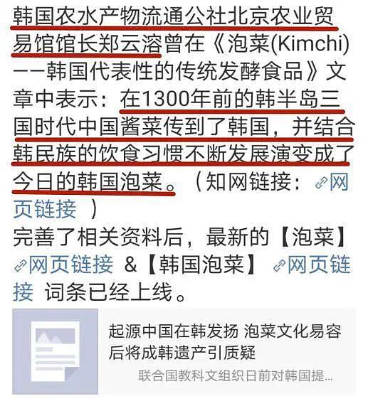 李子柒发中国年味视频，受外国粉丝热捧，标题用心再次打脸韩国（组图） - 39