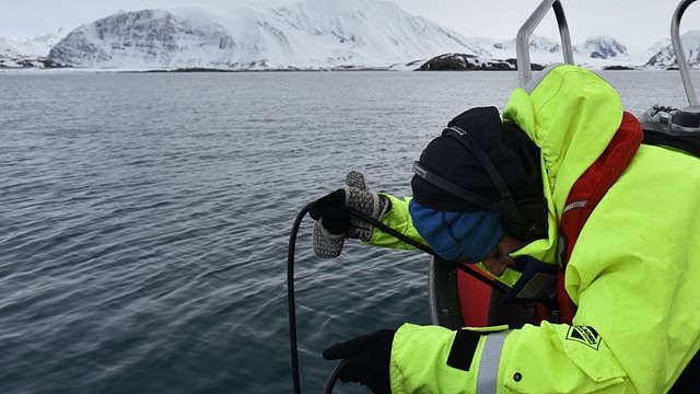 Scientist recording ocean sound