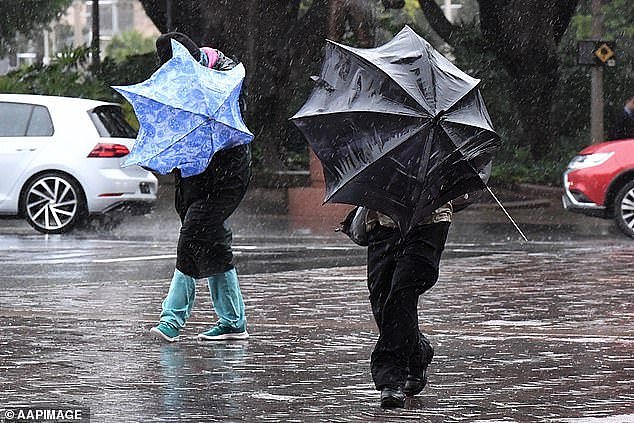 狂风暴雨席卷澳洲，恶劣天气将持续7天！数百万人受影响（组图） - 2