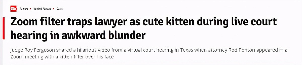 猫才是本体？美国律师听证会闹笑话，误用猫咪滤镜根本变不回来