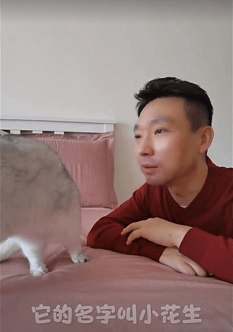 康辉素颜带宠物猫录视频，卧室内景朴素，至今仍在北京租房（组图） - 4