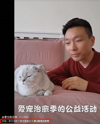康辉素颜带宠物猫录视频，卧室内景朴素，至今仍在北京租房（组图） - 5