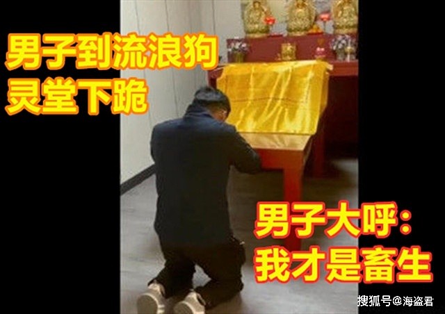 台湾一男子撞死流浪狗到灵堂下跪，表现非常悔过，称：我才是畜生！（组图） - 3