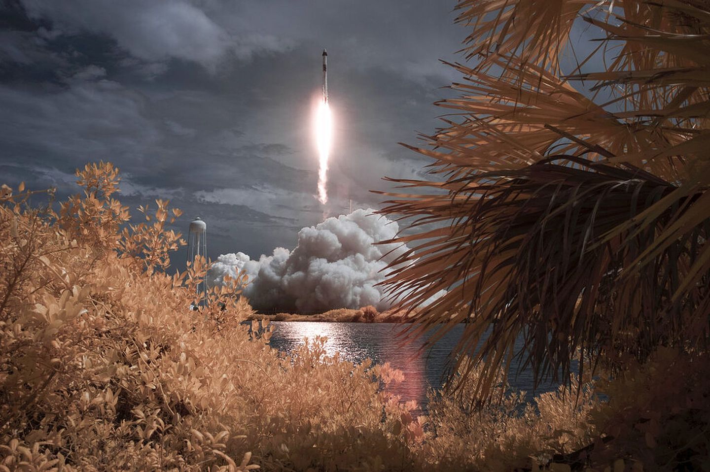 SpaceX与NASA成功发射搭载Crew Dragon的Falcon-9火箭，接载两名美国太空人上太空。（美联社）