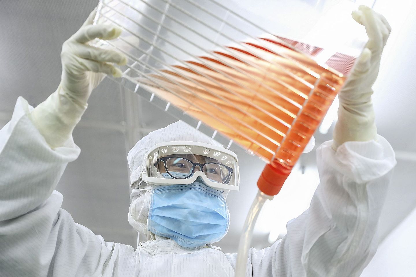 2020年3月23日，科兴的工作人员利用细胞工厂进行细胞培养。（新华社）