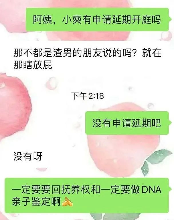 张恒发文感恩，自曝签证批准，暗指郑爽不让孩子回国：无理要求被驳回（组图） - 10