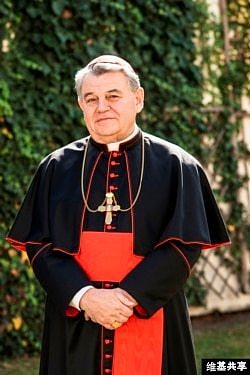 捷克红衣主教杜卡