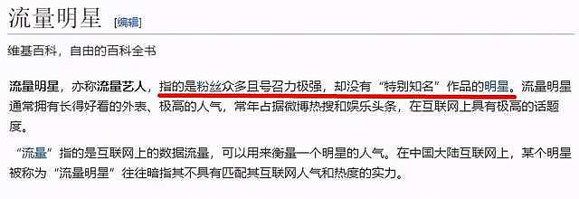 自取其辱！中国选秀节目比赛写春联，毛笔字最好的居然是外国人？（组图） - 29