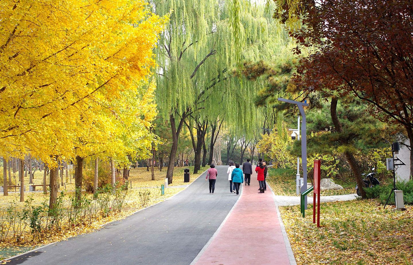 2018年11月2日，中国北京海淀公园成为全球首个人工智能公园，智能步道等人工智能体验设备悉数亮相。（视觉中国）