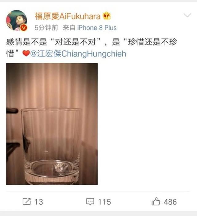 日媒曝福原爱协议离婚过程，遭丈夫全家语言虐待，还被羞辱像个“妓女”，婚变已酝酿一年（组图） - 25