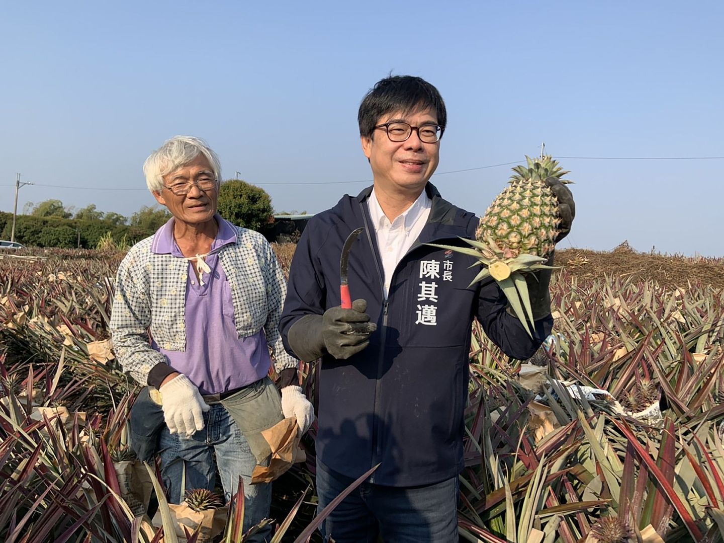 高雄市长陈其迈表示将拓展更多元的外销通路，因应凤梨无法外销大陆的冲击。（中央社）