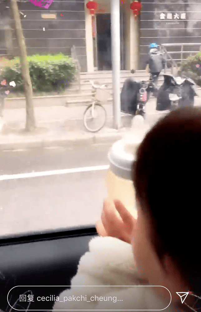 张柏芝在内地心系儿子，带兄弟3人到上海，是个不折不扣的好母亲（视频/组图） - 3