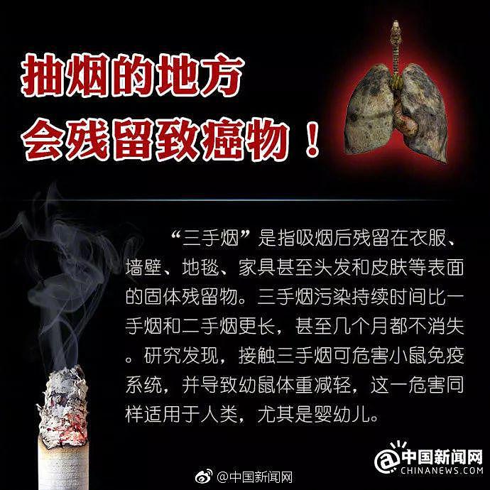 打开死者的器官，才明白有无数人在悄悄花钱买死（视频/组图） - 10