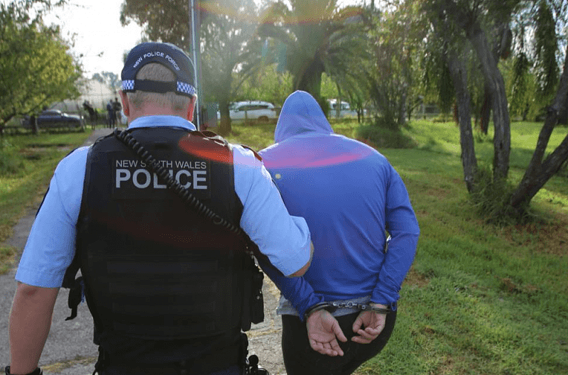 悉尼警方捣毁大型贩毒集团，又一华男被控罪！数千株大麻被缴获（组图） - 5