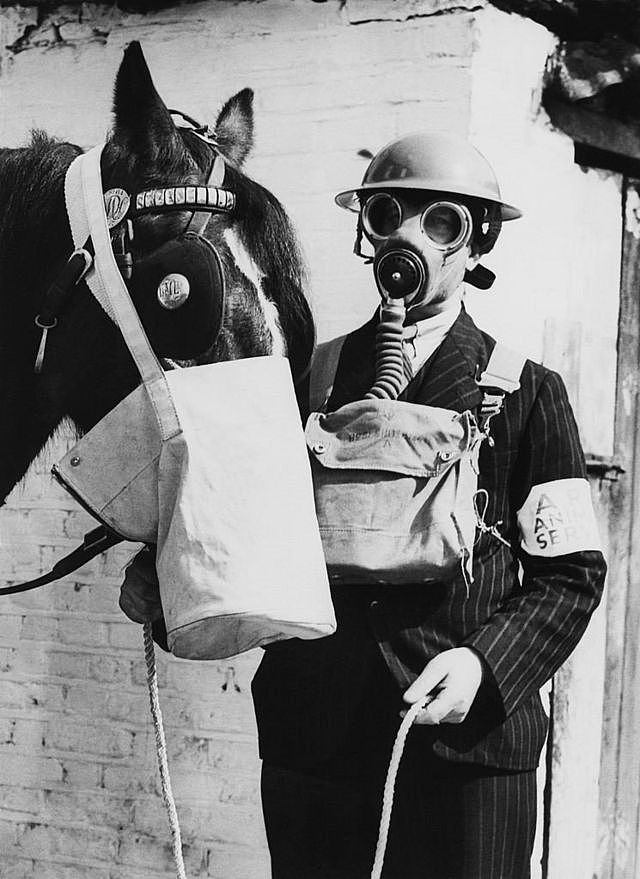 人和马都戴着防毒面具