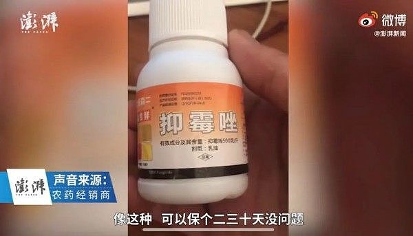 放2个月都不烂的沃柑 果农从来不吃：我知道泡了药（组图） - 8