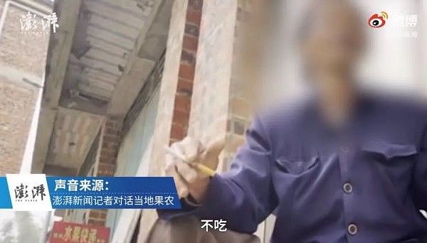 放2个月都不烂的沃柑 果农从来不吃：我知道泡了药（组图） - 11