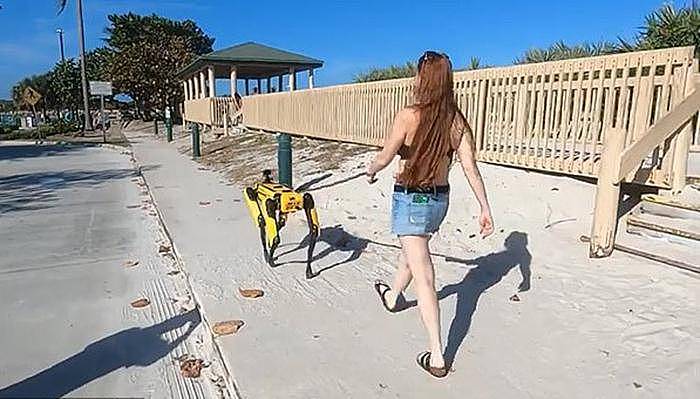 女子在海滩上遛价值49万机器狗 路人纷纷回头（视频/图） - 1
