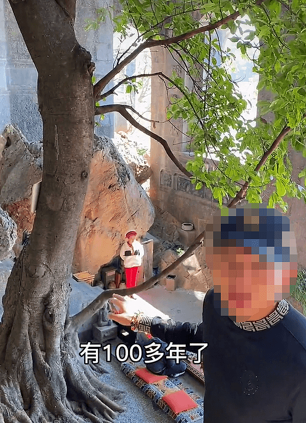 62岁杨丽萍摔倒，18万指甲险折断！曾在百年古树旁建千万豪宅，她有钱到难以想象 （视频/组图） - 18