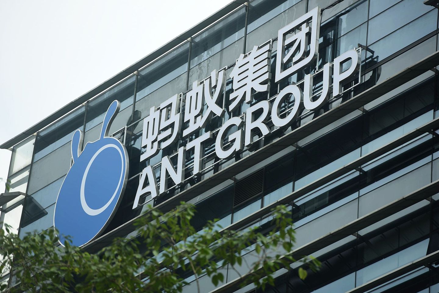 因为马云在演讲中公开表达对中国金融体制的质疑和不满，蚂蚁集团在香港上市遭中国官方叫停。(AP)
