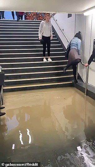 暴雨席卷悉尼，内西区火车站被淹！多条城铁线路停运，通勤陷入混乱（视频/组图） - 2
