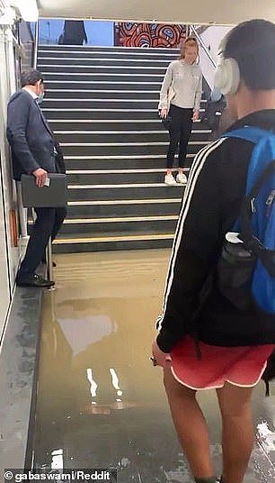暴雨席卷悉尼，内西区火车站被淹！多条城铁线路停运，通勤陷入混乱（视频/组图） - 3