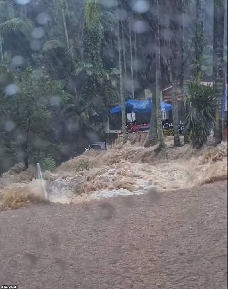 一天下完3个月的雨！恶劣天气持续恶化，新州多地水位创新高，国防军出动（视频/组图） - 3