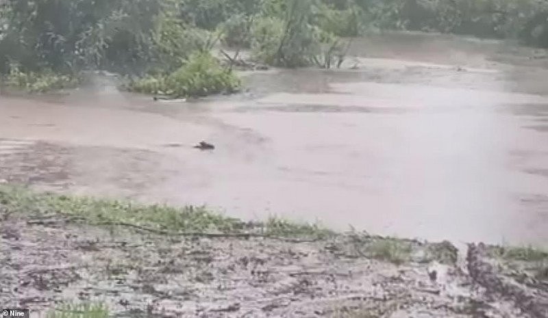 一天下完3个月的雨！恶劣天气持续恶化，新州多地水位创新高，国防军出动（视频/组图） - 6