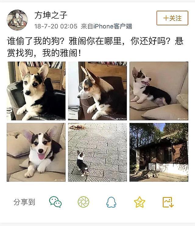 袁丽疑与张国立暧昧被邓婕抽，曝斯琴高娃打羊胎素，被锤偷狗的她荒唐事太多！（组图） - 3