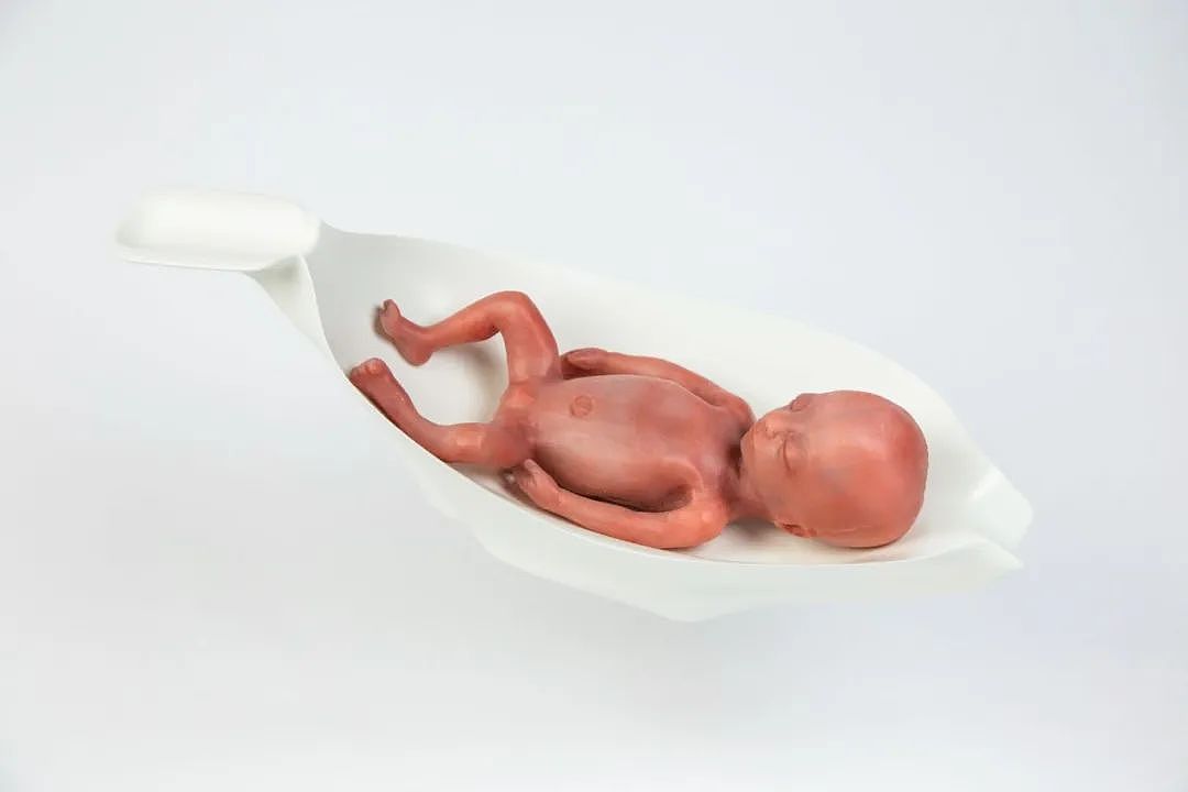 “人造子宫”即将诞生！中国生育率有救了？