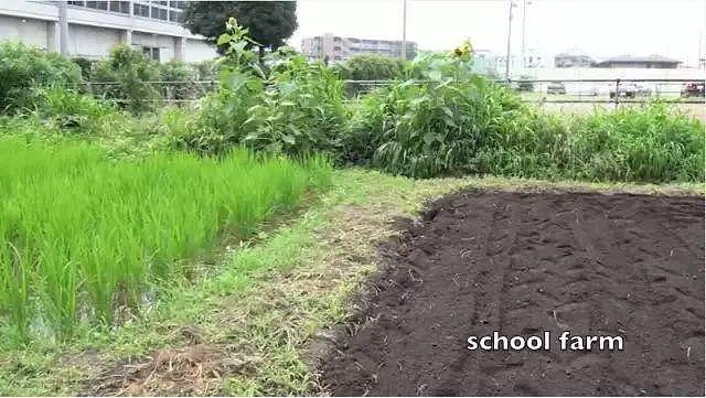 日本小学生的一顿普通午餐，为什么会被千万人围观？（视频/组图） - 42