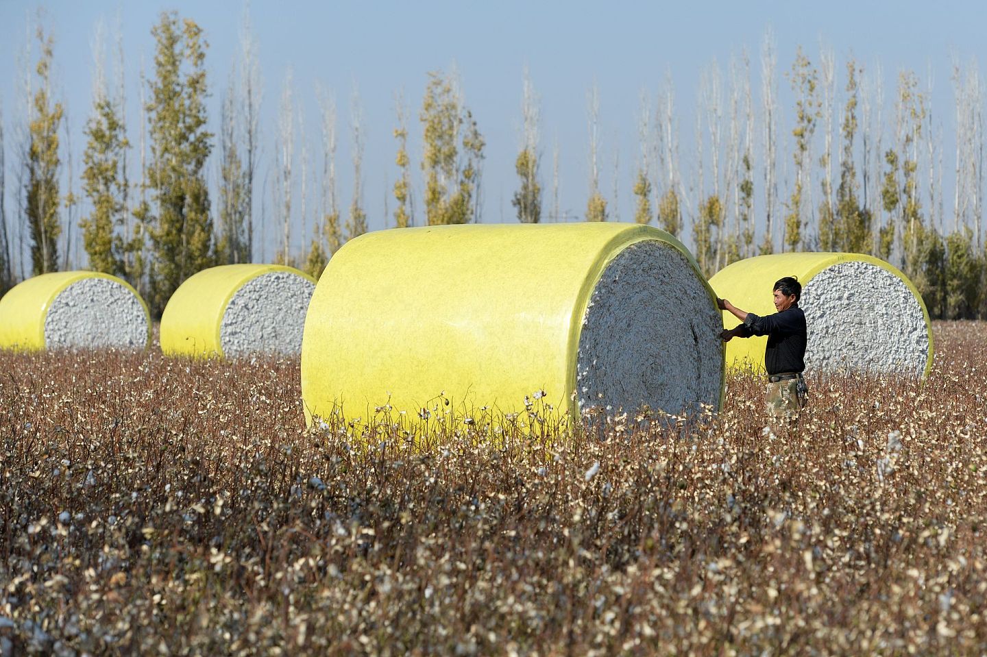 相对于西方世界想象中的新疆棉田“强制劳动”，新疆的棉业大多已进入机械化集约型大规模运作的状态。这也使得其产品质量要好于人力采摘。美国约翰迪尔公司的产品也在当地大受欢迎。（新华社）