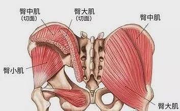 【美女】细腰翘臀，她是“最性感的女老师”，却被网友说：败坏风气！（组图） - 23