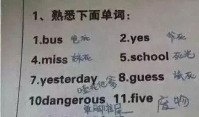 郑爽庭审翻译被质疑的“Chinglish”，让多少留学生中了枪？（组图） - 16