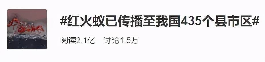 “无敌外来物种”红火蚁入侵！已传播至我国12省份，被咬一口严重可致命