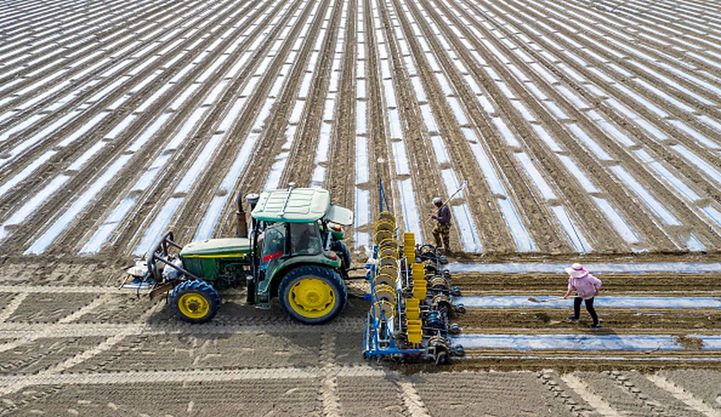 2020年4月5日，新疆玉里地区的棉农在进行春播作业。（Getty Images）