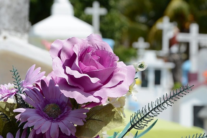 Pink floral tribute on unidentified grave in cemetery.