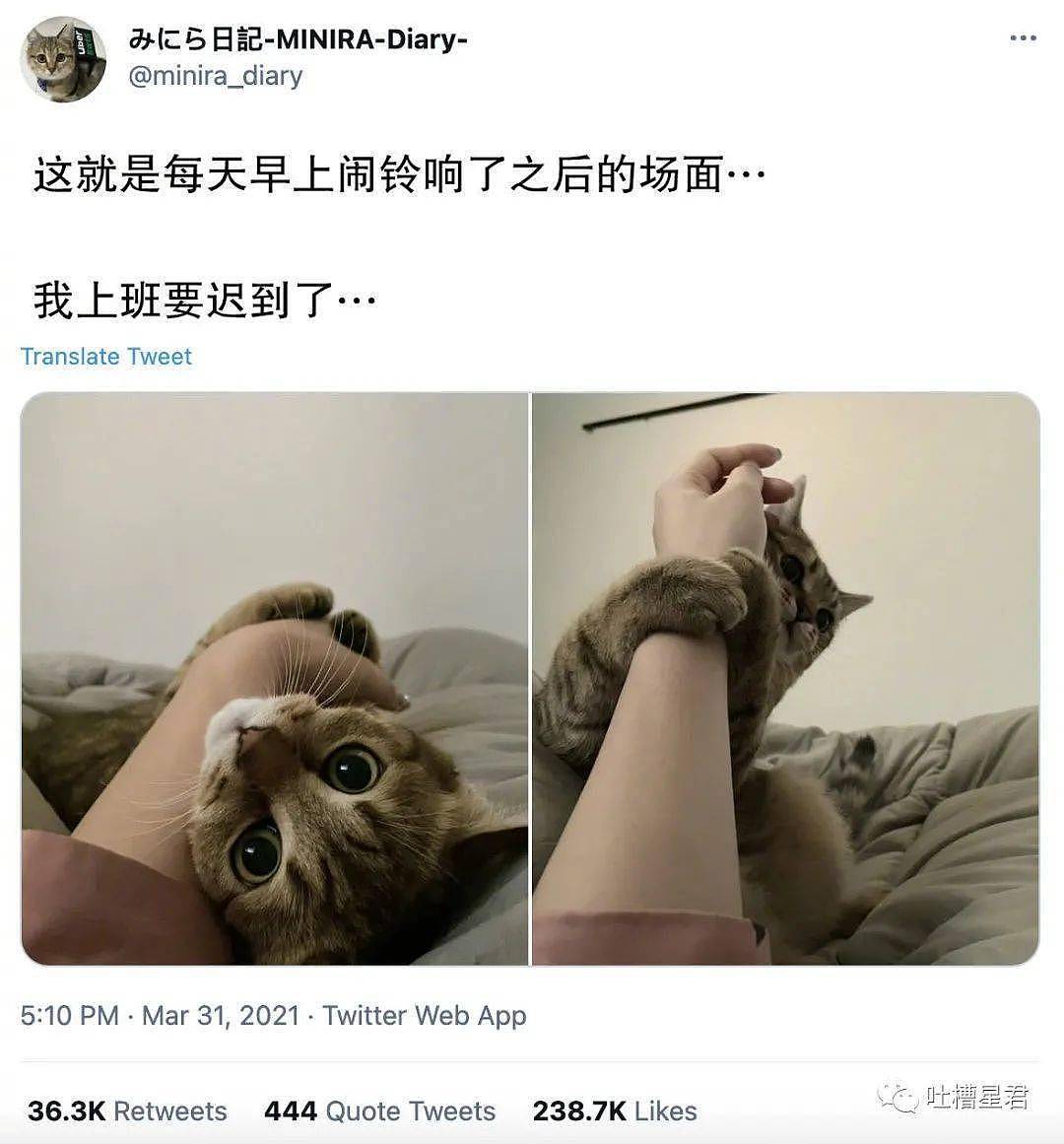 【爆笑】“小伙子，阿姨真想狠狠办了你！”网友深夜哭诉：啊啊啊眼神骗不了人（组图） - 10