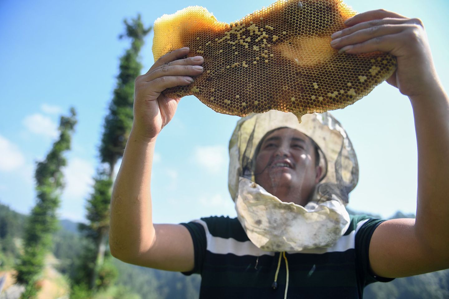 湖南十八洞村一处蜜源点，受官方帮助掌握养蜂技术的农民在查看蜂巢。8年间，习近平将扶贫视为最大的政治承诺走遍了14个集中连片贫困区。（新华社）