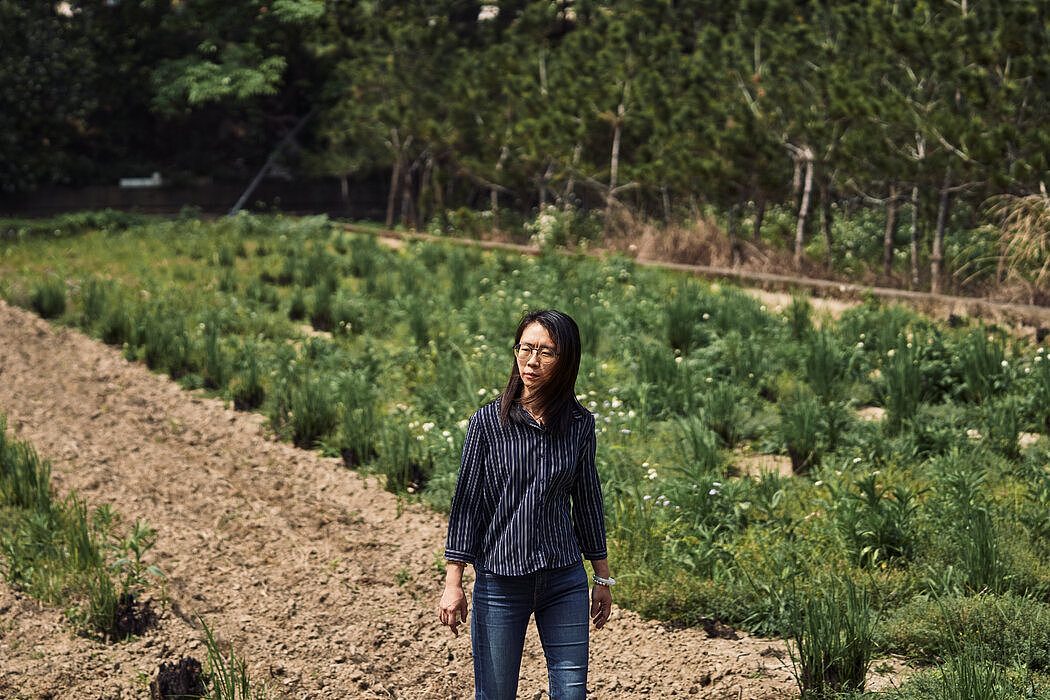 郭玉翎和她的生意伙伴庄正灯通常在租赁土地上种植作物。