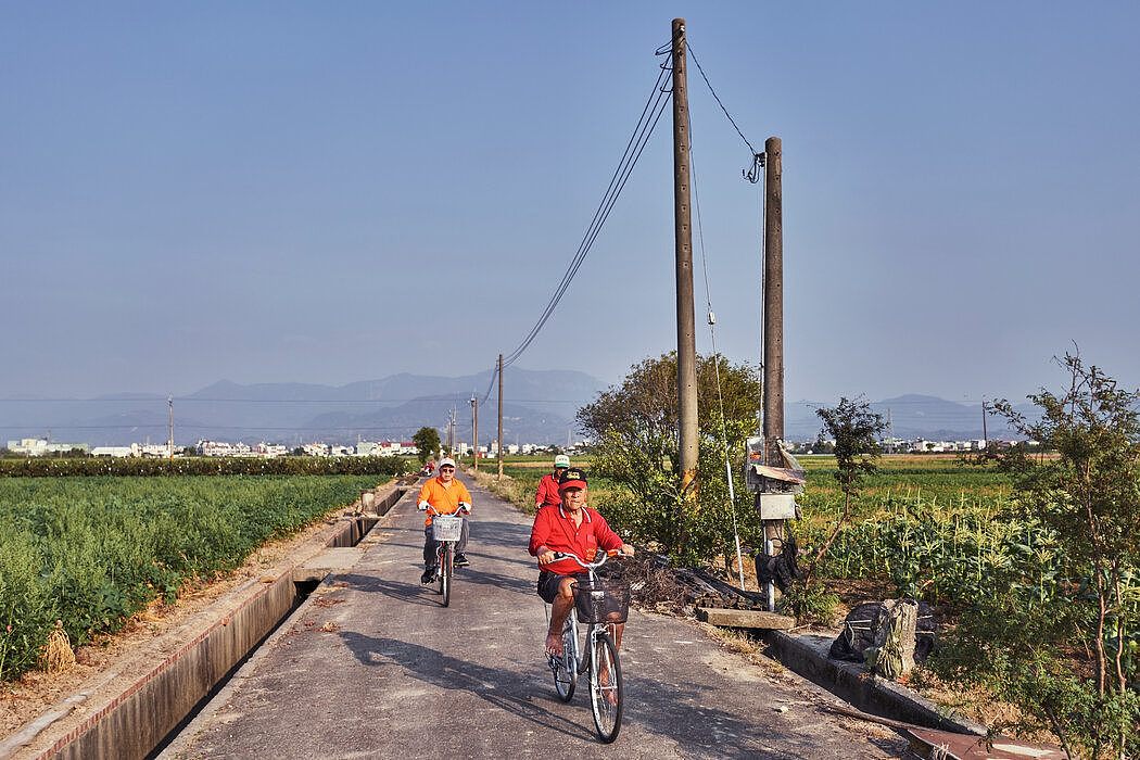 一些农民在台南的田野里骑车，来打发他们新获得的闲暇时间。