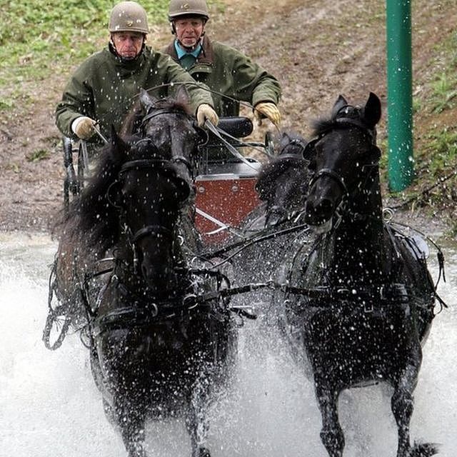 The Duke of Edinburgh (left) takes part in the Pony-Four-in-Hand