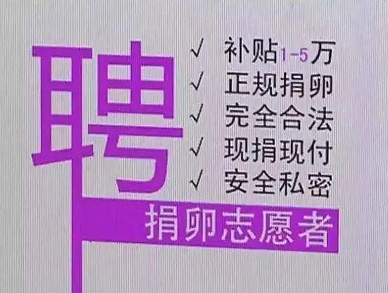 刺穿下体、插入子宫……万元一次的交易，让多少中国女孩“卖身”换钱？（组图） - 3