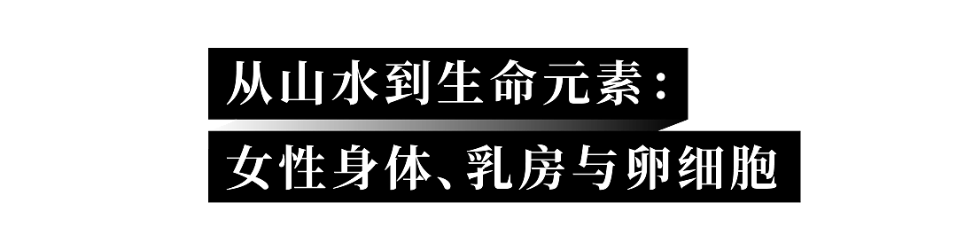 她扎出几十亿针孔，展现女性乳房、卵子，又美又疯狂