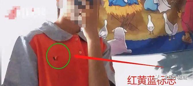 幼师晒男童闻脚照，被刑拘7日，“屡跌不倒”的红黄蓝，什么来头？（组图） - 4