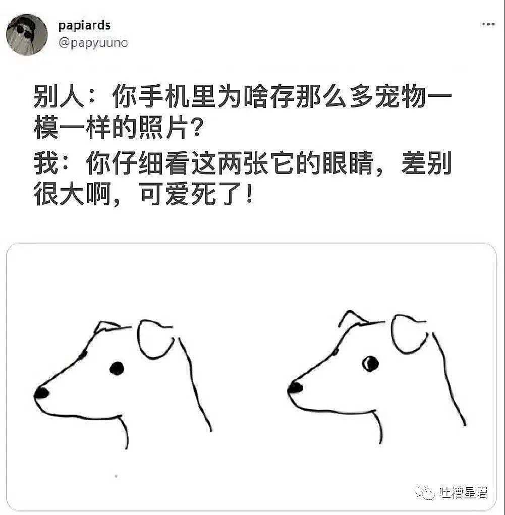 【爆笑】“在X宝花6300元给男友定制条LV泳裤，试穿后…”哈哈哈哈湿水变透视？ （组图） - 12