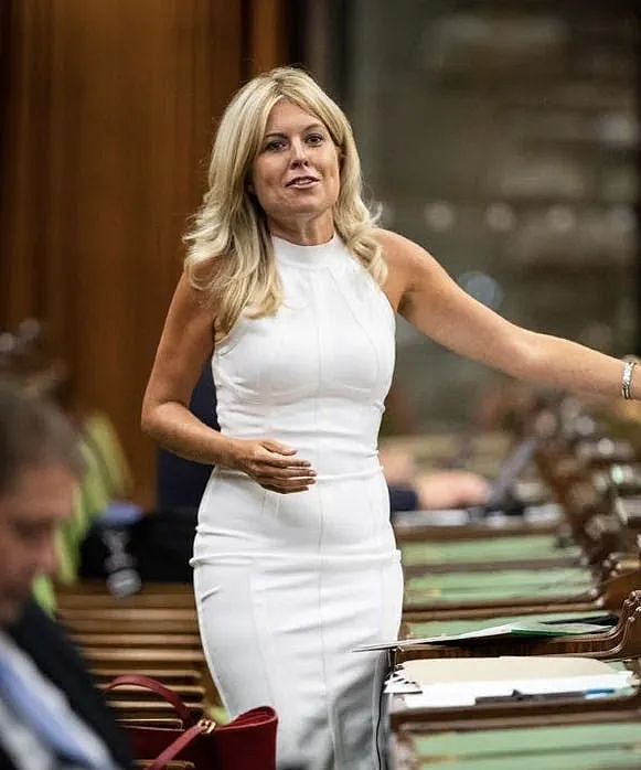 加拿大国会议员全裸出席视频议会，网友：身材不错（视频/图） - 8
