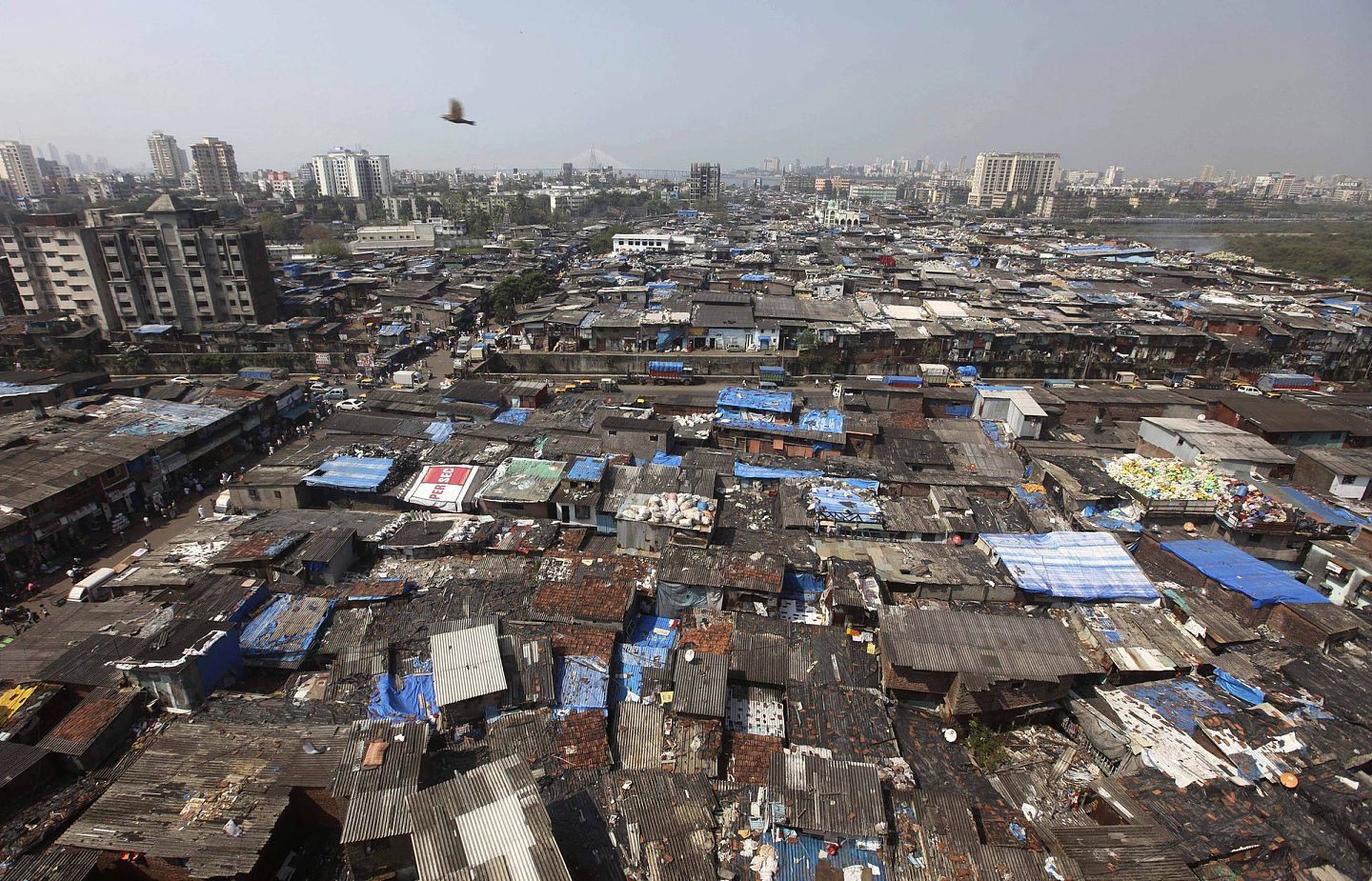 2020年4月1日，一只鸟飞过印度最大的贫民窟之一，位于孟买的达拉维贫民窟。（AP）