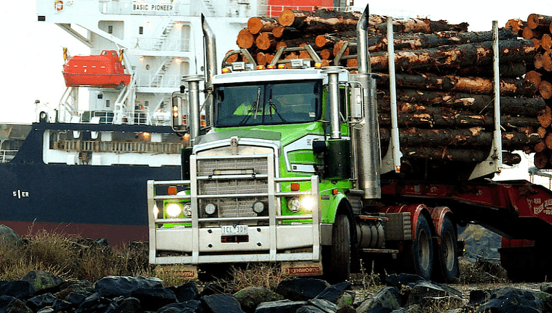 澳对华原木出口禁令无松动迹象，维州海港：没有任何进展（图） - 2