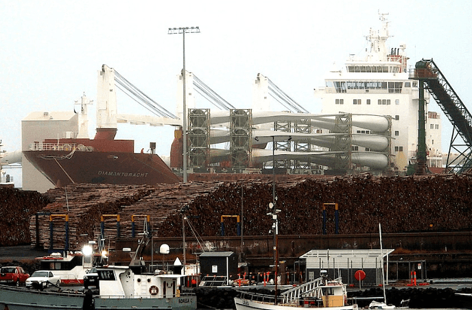 澳对华原木出口禁令无松动迹象，维州海港：没有任何进展（图） - 4
